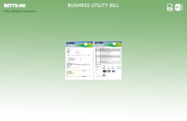 Модерен стил Пакистан QUBEE деловна сметка шаблон