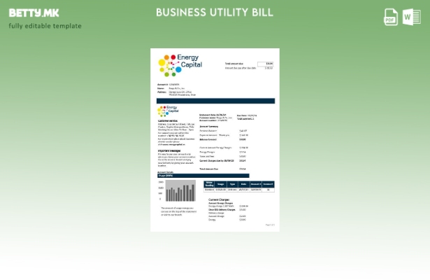 Модерен стил Чиле енергетскиот капитал шаблон за комунални сметки за бизнис
