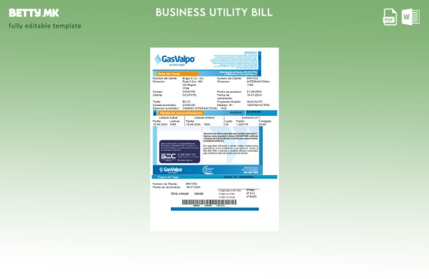 Модерен стил Чиле GasValpo деловна сметка шаблон