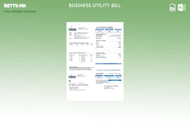 Модерен стил Шаблон за деловни сметки за комунални услуги на градот Мекини