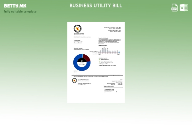 Модерен стил Шаблон за деловни сметки за комунални услуги Liberia Electricity Co