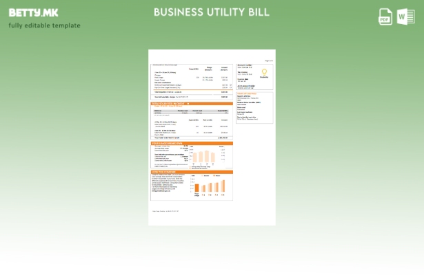 Модерен стил на Нов Јужен Велс (НСВ) Шаблон страница за деловни сметки со поте 2