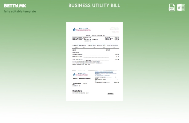 Модерен стил на шаблон за деловни сметки за комунални услуги на Мериленд Америка