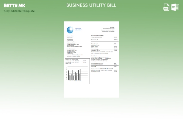 Модерен стил на Connecticut Light & Power шаблон за деловна сметка за електрична