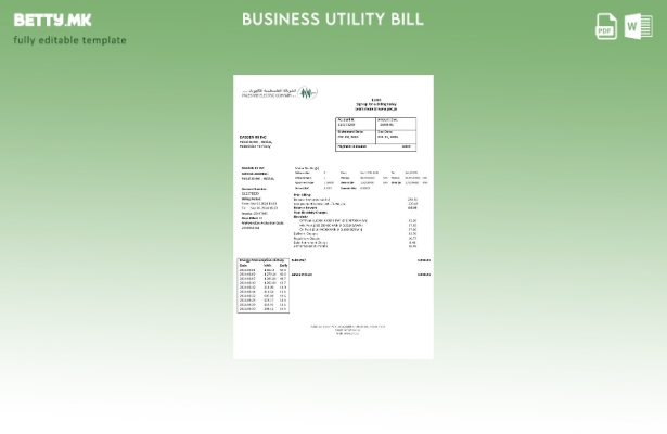 Модерен стил шаблон за деловна сметка за комунални услуги на Палестина Електрик