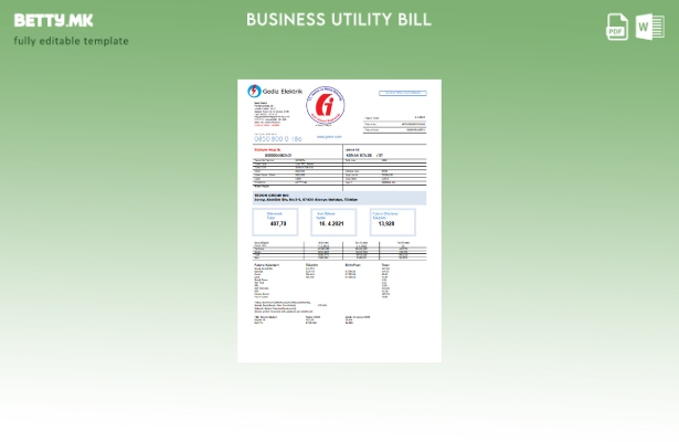 Модерен стил шаблон за деловни сметки за комунални услуги Gediz Elektrik