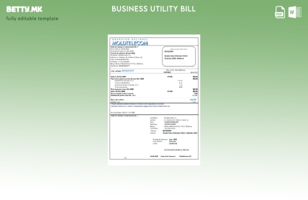 Модерен стил шаблон за деловни сметки за комунални услуги Moldtelecom