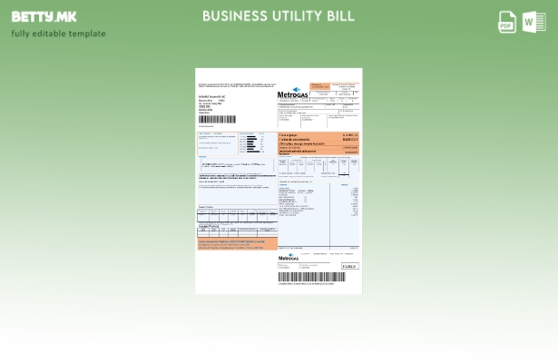 Модерен стил Argentina Metrogas лесен за пополнување шаблон за деловни комунални