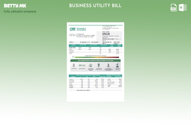 Модерен стил CFE шаблон за деловна сметка за електрична енергија за комунални ус