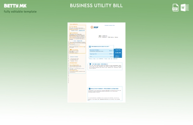 Модерен стил EDF Франција шаблон за деловна сметка за комунални услуги за електр