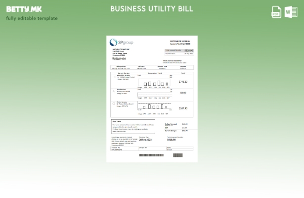 Модерен стил, шаблон за деловна сметка за комунални услуги на SP Group