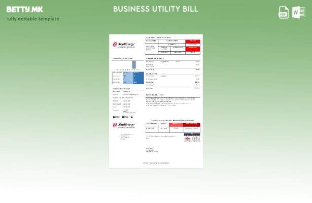 САД Колорадо XcelEnergy деловна сметка за електрична енергија верзија