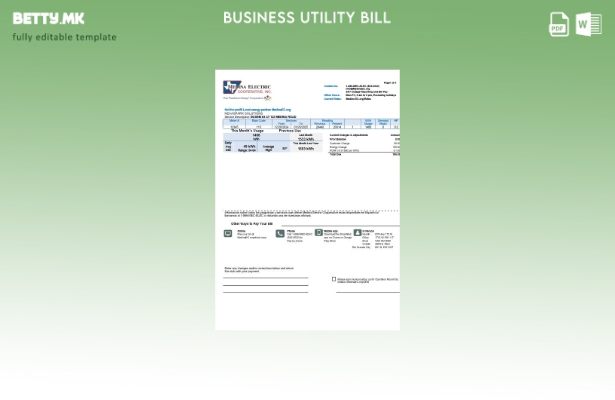 Сметка за комунални услуги во САД Тексас Медина Електрик