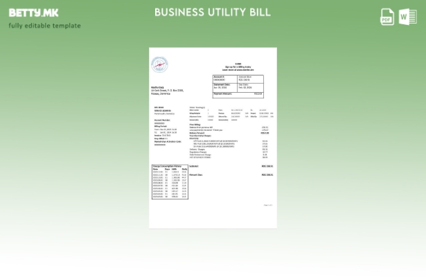 модерен стил Доминика Electricity Services Limited шаблон за деловна сметка за е