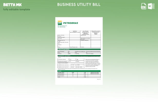 модерен стил Парагвај Петробрас Парагвај Операции и логистика на компанијата за