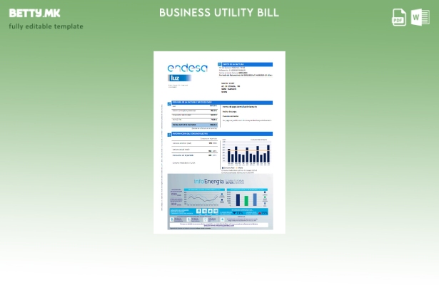 модерен стил Шаблон за деловна сметка за комунални услуги Endesa luz