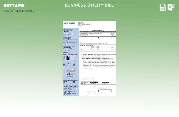 модерен стил шаблон за деловни сметки за комунални услуги во Њујорк Национална м
