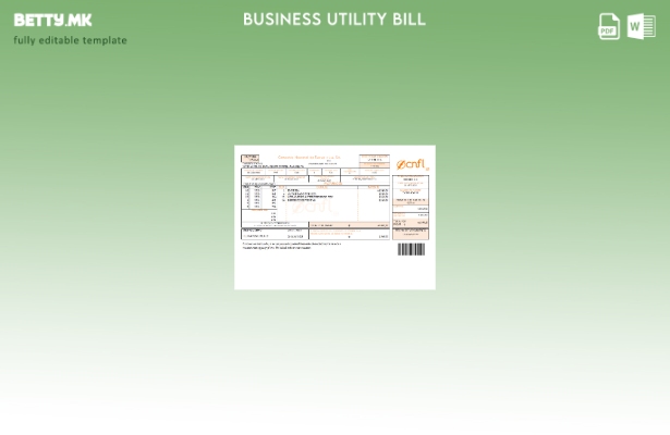 шаблон за деловни сметки за комунални услуги Compañía Nacional de Fuerza y ​​Luz