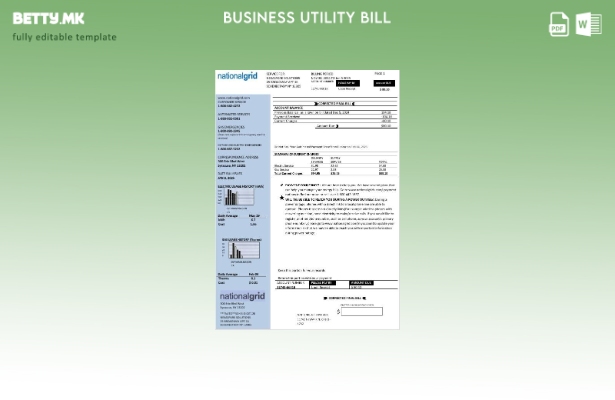 USA New York National Grid деловна сметка за комунални услуги