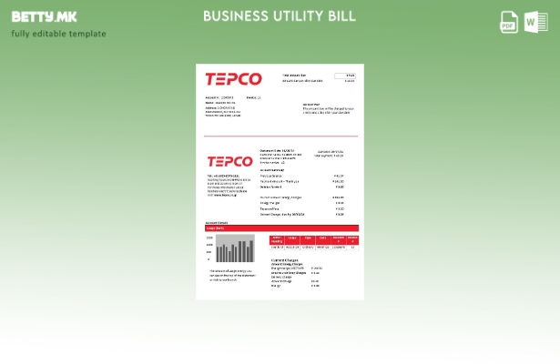 modern style Japan Tokyo Electric Power Company electricity business utility bil