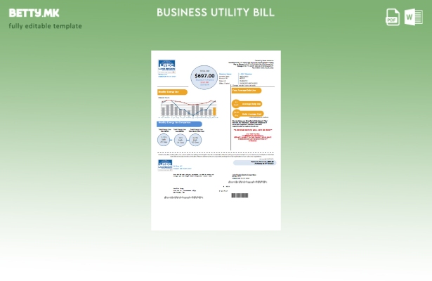 modern style Lake Region Electric Cooperative utility business bill template