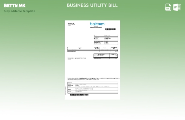 modern style Latvia Baltcom telecommunications business utility bill template