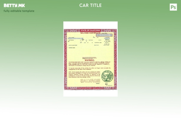 Модерен стил САД Калифорнија сертификат за спасување на шаблон за возило