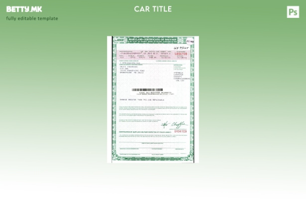 Модерен стил САД Мериленд сертификат за шаблон за спасување