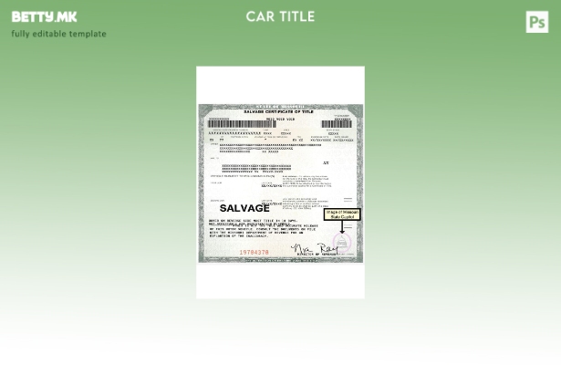 Модерен стил САД Мисури за спасување сертификат за титулата шаблон