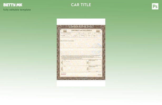 Модерен стил на шаблон за потврда за регистрација на возило во Колумбија