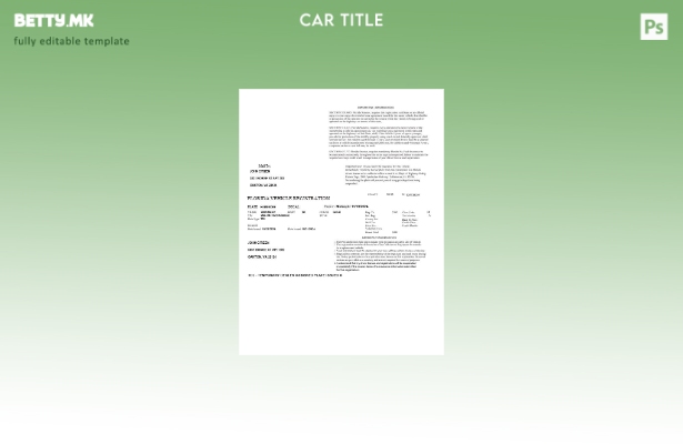 Модерен стил на шаблон за регистрација на возило во САД Флорида во шаблон за фор