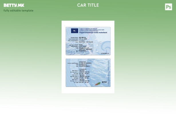 Модерен стил, шаблон за брз моторен чамец за уверение за регистрација на Холанди