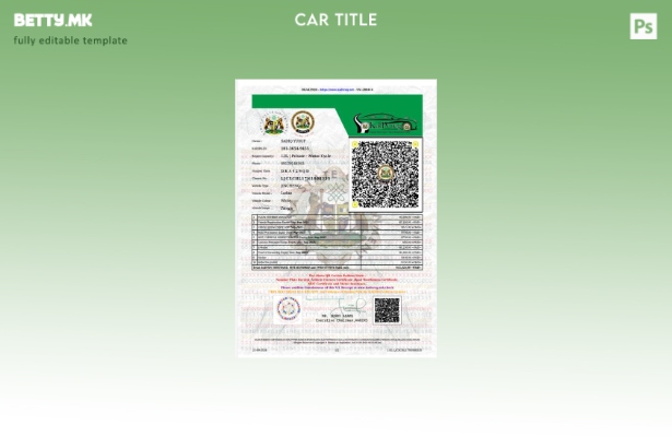 Модерен стил, шаблон за лиценца за државно возило на Нигерија Кадуна