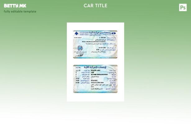Шаблон за картичка за регистрација на возила во модерен стил во Либан