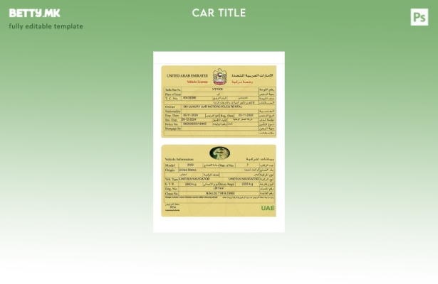 Шаблон за картичка за регистрација на возила во модерен стил на ОАЕ