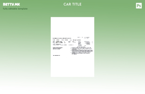 Шаблон за лиценца за регистрација на возила во модерен стил на САД Флорида