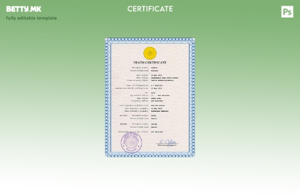 Модерен стил Јапонски витален рекорд за смртен шаблон PSD шаблон