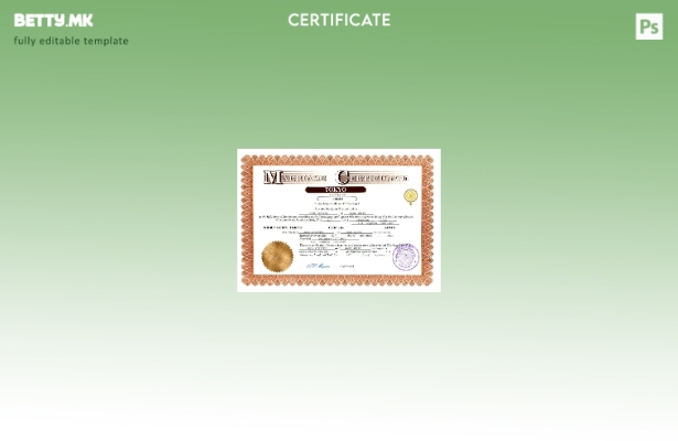 Модерен стил Јапонски сертификат за брак Шаблон за Word и PDF