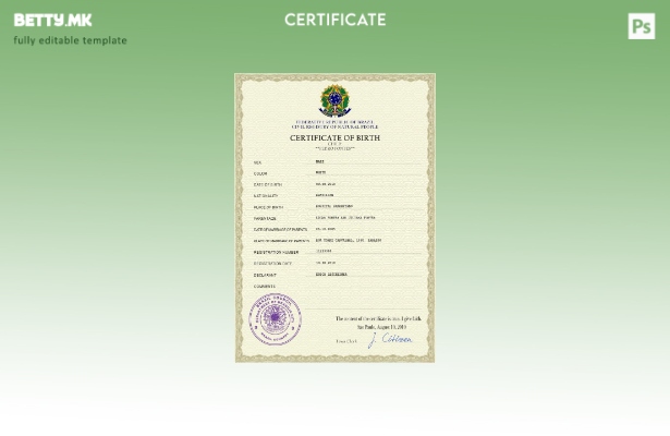 Модерен стил Бразил витална евиденција извод од матична книга на родените ПСД