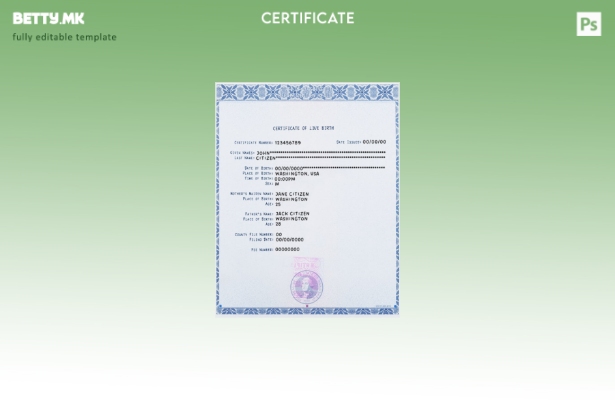 Модерен стил Вашингтон шаблон за потврда за живо раѓање