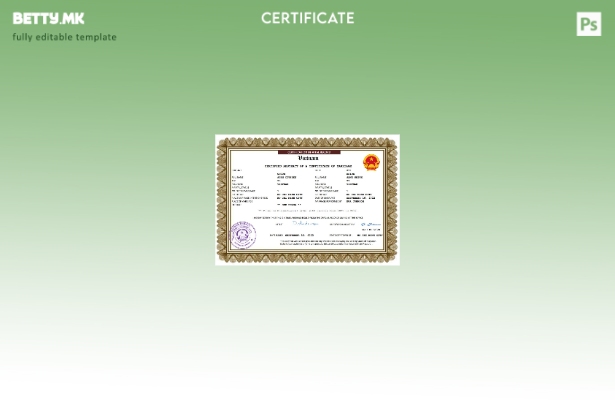 Модерен стил Виетнамски сертификат за брак Шаблон за Word и PDF шаблон