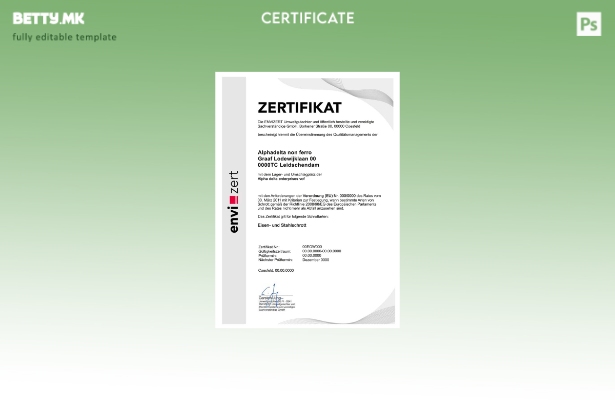 Модерен стил Германија Envizert GmbH zertifikat сертификат PSD шаблон