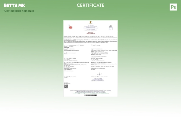 Модерен стил Индиската влада на Утар Прадеш Нагар Палика Паришад Будаун шаблон з