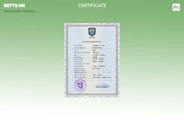 Модерен стил Ирска од витално значење за евиденција за смртен шаблон PSD шаблон