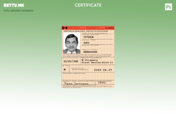 Модерен стил Канада сертификат за индиски Статус шаблон 1