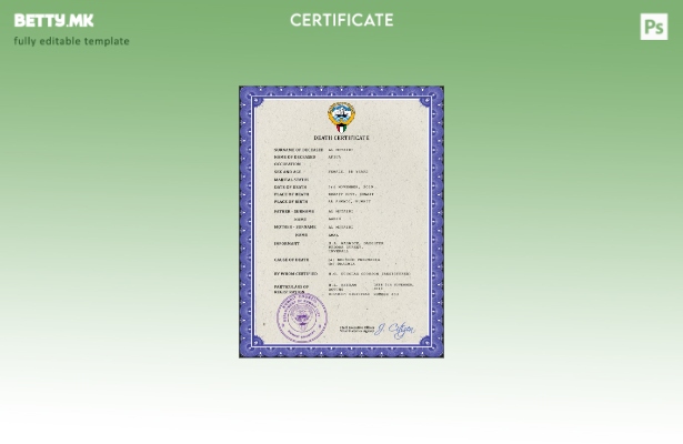 Модерен стил Кувајтски витален евиденција за смртен шаблон PSD шаблон