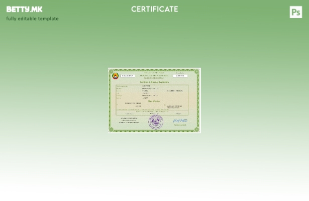 Модерен стил Мозамбик сертификат за брак Шаблон за Word и PDF