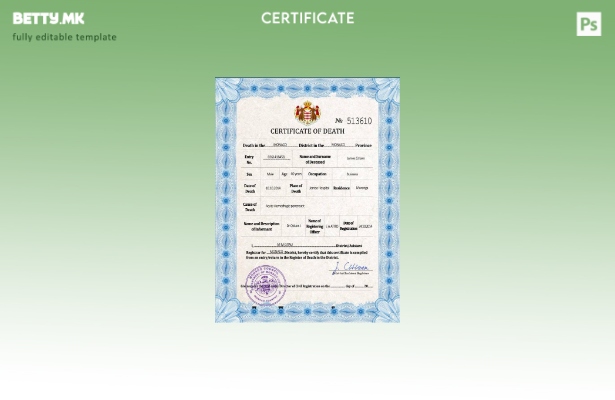 Модерен стил Монако витален рекорд за смртен шаблон PSD шаблон