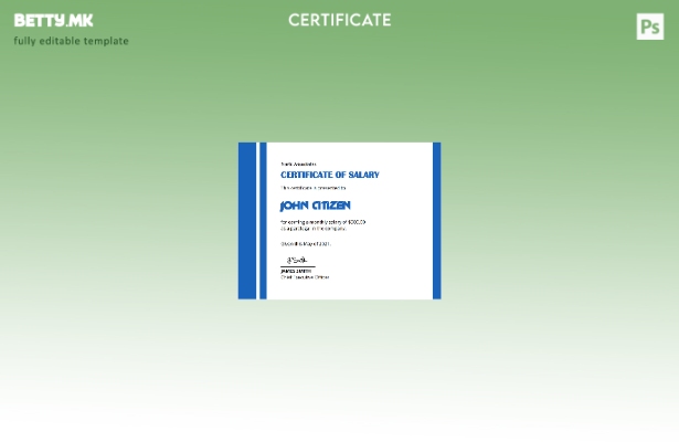 Модерен стил САД Шаблон сертификат за плата