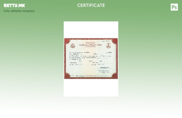 Модерен стил САД сертификација на извештајот за раѓање дефиниција